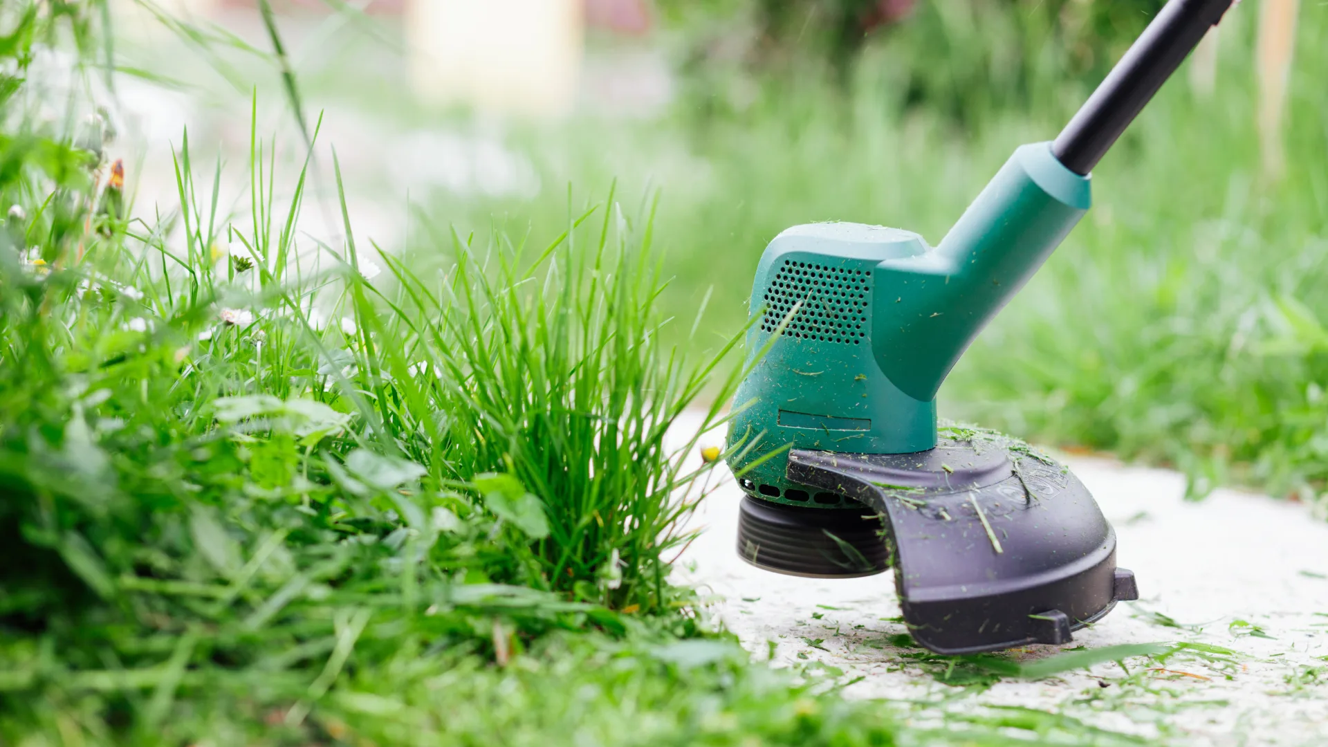 Schrebergarten räumen Schweiz – Familiengarten professionell auflösen und übergeben