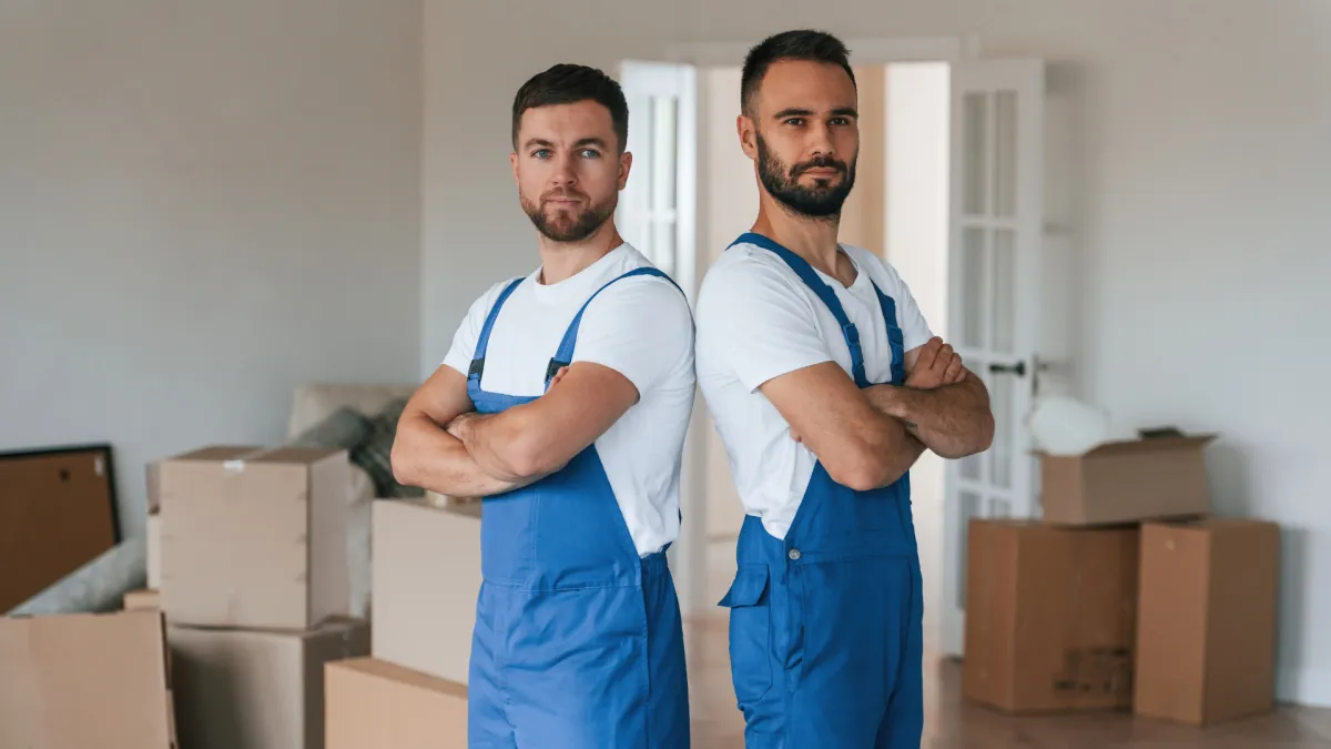 Professionelles Umzugsteam beim Verladen von Möbeln in Dietikon