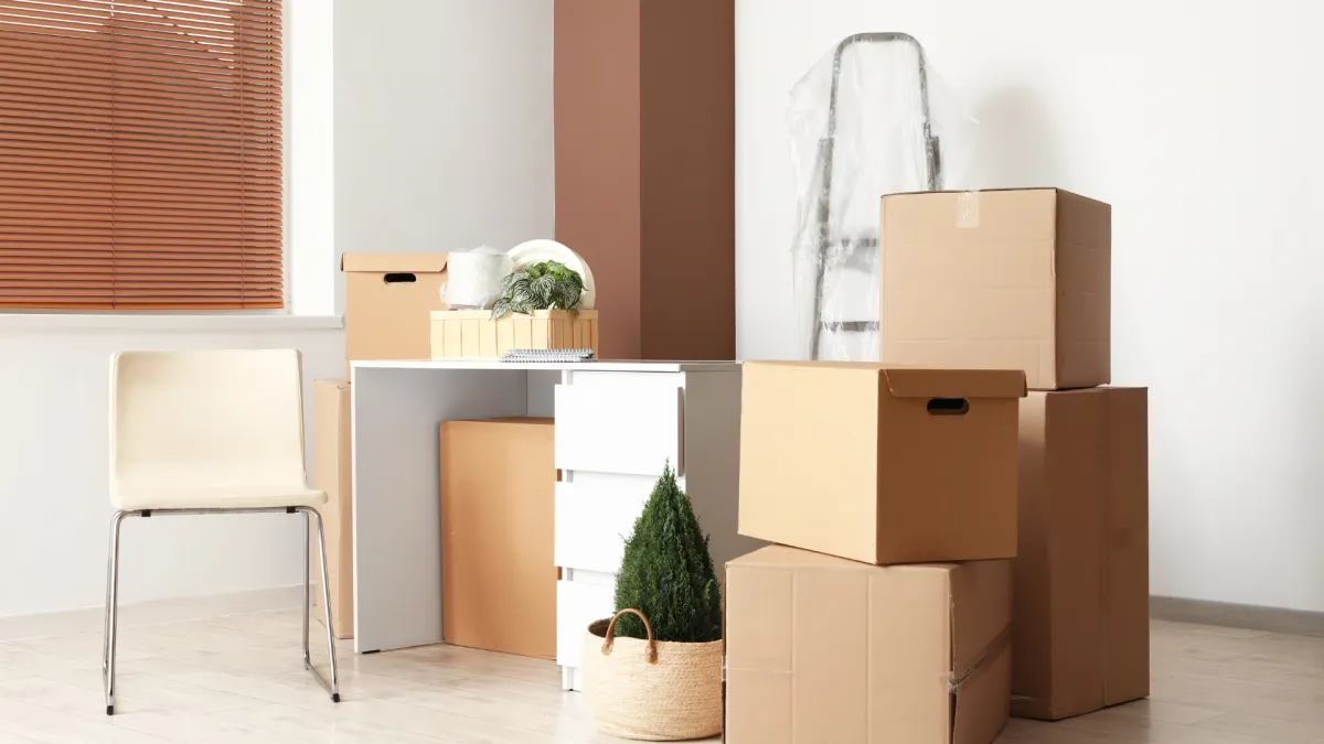 Professionelles Umzugsteam beim Verladen von Möbeln in Umzug Weinfelden – Umzugsfirma im Herzen des Thurgaus